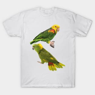 Parrots T-Shirt